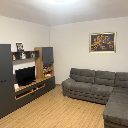 חונדוארה Modernul Apartament De Langa Castel מראה חיצוני תמונה